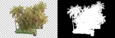 Kolaj için izole edilmiş 3d ağaç oluşturucu, alfa kanalı