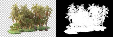 Kolaj için izole edilmiş 3d ağaç oluşturucu, alfa kanalı