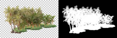 Kolaj için izole edilmiş 3d ağaç oluşturucu, alfa kanalı