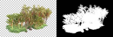 Kolaj için izole edilmiş 3d ağaç oluşturucu, alfa kanalı