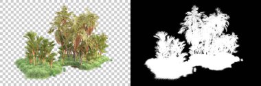 Kolaj için izole edilmiş 3d ağaç oluşturucu, alfa kanalı