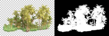 Kolaj için izole edilmiş 3d ağaç oluşturucu, alfa kanalı