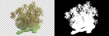 Kolaj için izole edilmiş 3d ağaç oluşturucu, alfa kanalı