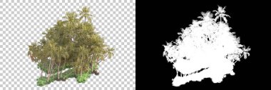 Kolaj için izole edilmiş 3d ağaç oluşturucu, alfa kanalı