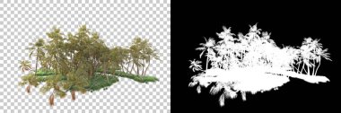 Kolaj için izole edilmiş 3d ağaç oluşturucu, alfa kanalı