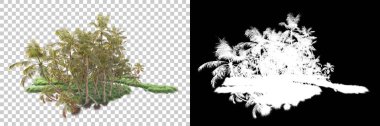 Kolaj için izole edilmiş 3d ağaç oluşturucu, alfa kanalı