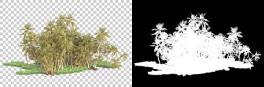 Kolaj için izole edilmiş 3d ağaç oluşturucu, alfa kanalı