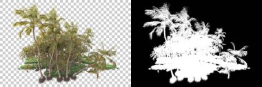 Kolaj için izole edilmiş 3d ağaç oluşturucu, alfa kanalı