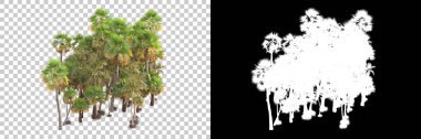 Kolaj için izole edilmiş 3d ağaç oluşturucu, alfa kanalı