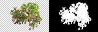 Kolaj için izole edilmiş 3d ağaç oluşturucu, alfa kanalı