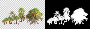 Kolaj için izole edilmiş 3d ağaç oluşturucu, alfa kanalı