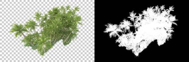 Kolaj için izole edilmiş 3d ağaç oluşturucu, alfa kanalı
