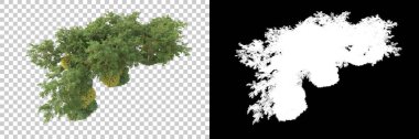 Kolaj için izole edilmiş 3d ağaç oluşturucu, alfa kanalı