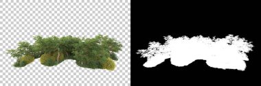 Kolaj için izole edilmiş 3d ağaç oluşturucu, alfa kanalı
