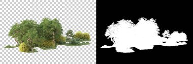 Kolaj için izole edilmiş 3d ağaç oluşturucu, alfa kanalı