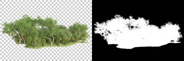 Yeşil orman, şeffaf arka planda maskeyle izole edilmiş. 3d görüntüleme - illüstrasyon