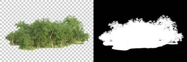 Yeşil orman, şeffaf arka planda maskeyle izole edilmiş. 3d görüntüleme - illüstrasyon