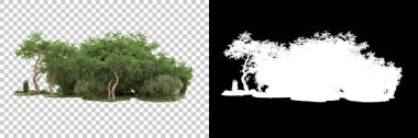 Yeşil orman, şeffaf arka planda maskeyle izole edilmiş. 3d görüntüleme - illüstrasyon