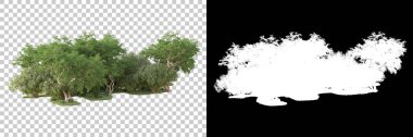Yeşil orman, şeffaf arka planda maskeyle izole edilmiş. 3d görüntüleme - illüstrasyon
