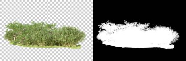 Yeşil orman, şeffaf arka planda maskeyle izole edilmiş. 3d görüntüleme - illüstrasyon