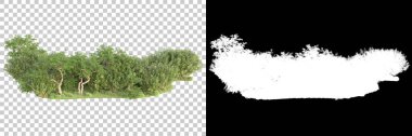 Yeşil orman, şeffaf arka planda maskeyle izole edilmiş. 3d görüntüleme - illüstrasyon