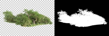 Yeşil orman, şeffaf arka planda maskeyle izole edilmiş. 3d görüntüleme - illüstrasyon