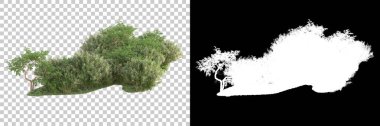 Yeşil orman, şeffaf arka planda maskeyle izole edilmiş. 3d görüntüleme - illüstrasyon