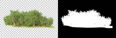 Yeşil orman, şeffaf arka planda maskeyle izole edilmiş. 3d görüntüleme - illüstrasyon
