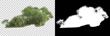 Yeşil orman, şeffaf arka planda maskeyle izole edilmiş. 3d görüntüleme - illüstrasyon