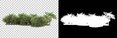 Yeşil orman, şeffaf arka planda maskeyle izole edilmiş. 3d görüntüleme - illüstrasyon