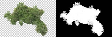 Yeşil orman, şeffaf arka planda maskeyle izole edilmiş. 3d görüntüleme - illüstrasyon