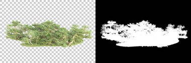 Yeşil orman, şeffaf arka planda maskeyle izole edilmiş. 3d görüntüleme - illüstrasyon