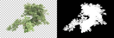 Yeşil orman, şeffaf arka planda maskeyle izole edilmiş. 3d görüntüleme - illüstrasyon