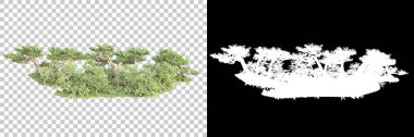 Yeşil orman, şeffaf arka planda maskeyle izole edilmiş. 3d görüntüleme - illüstrasyon