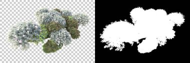 Yeşil orman, şeffaf arka planda maskeyle izole edilmiş. 3d görüntüleme - illüstrasyon