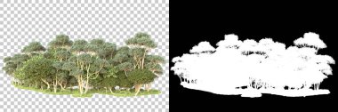 Yeşil orman, şeffaf arka planda maskeyle izole edilmiş. 3d oluşturma 