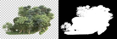 Yeşil orman, şeffaf arka planda maskeyle izole edilmiş. 3d oluşturma 