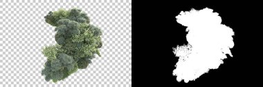 Maskeli, şeffaf arka planda yeşil ağaçlar. 3D görüntüleme. Doğa                           