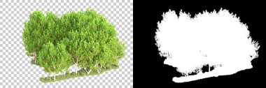 Yeşil orman, şeffaf arka planda maskeyle izole edilmiş. 3d oluşturma 