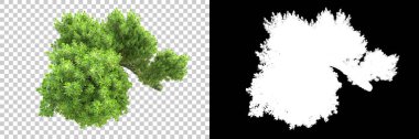 Yeşil orman, şeffaf arka planda maskeyle izole edilmiş. 3d oluşturma 