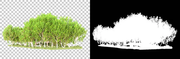 Yeşil orman, şeffaf arka planda maskeyle izole edilmiş. 3d oluşturma 