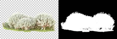 Maskeli, şeffaf arka planda yeşil ağaçlar. 3D görüntüleme. Doğa                           