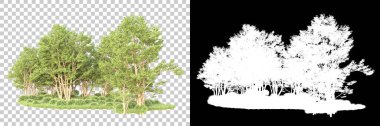 Şeffaf arka planda maskeli ağaçlar. 3D görüntüleme. Doğa                           