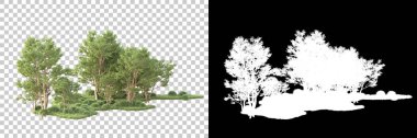 Şeffaf arka planda maskeli ağaçlar. 3D görüntüleme. Doğa                           