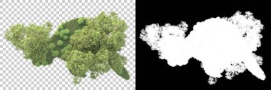 Şeffaf arka planda maskeli ağaçlar. 3D görüntüleme. Doğa                           