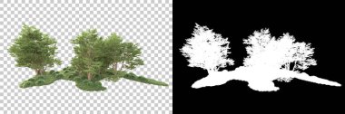 Şeffaf arka planda maskeli ağaçlar. 3D görüntüleme. Doğa                           