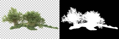 Maskeli, şeffaf arka planda yeşil ağaçlar. 3D görüntüleme. Doğa                           