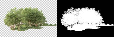 Maskeli, şeffaf arka planda yeşil ağaçlar. 3D görüntüleme. Doğa                           