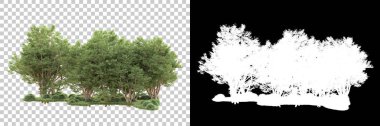 Maskeli, şeffaf arka planda yeşil ağaçlar. 3D görüntüleme. Doğa                           