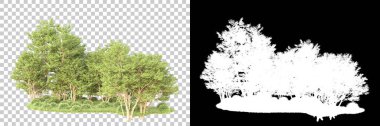 Maskeli, şeffaf arka planda yeşil ağaçlar. 3D görüntüleme. Doğa                           